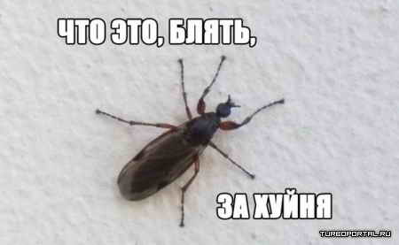 ��� ��� ����� �� �����