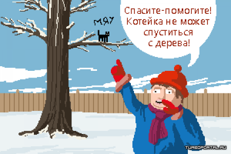 �������� - ����������