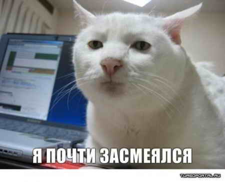 � ����� ��������� ���