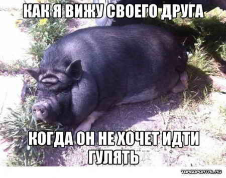 ��� � ���� ������ �����