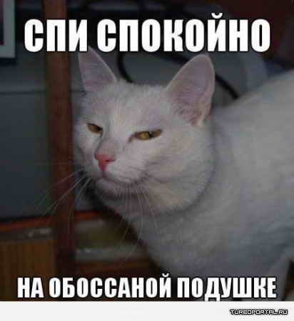 ��� ��������, �� ��������� �������