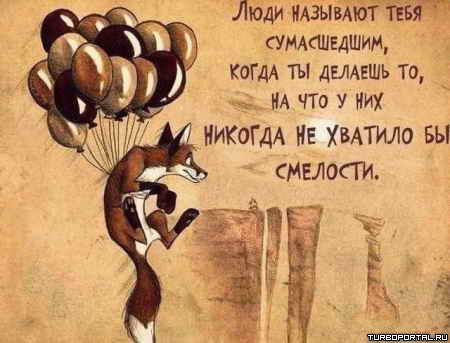 ���� �������� ���� �����������