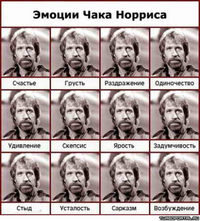 ������ ���� ������� (�������)