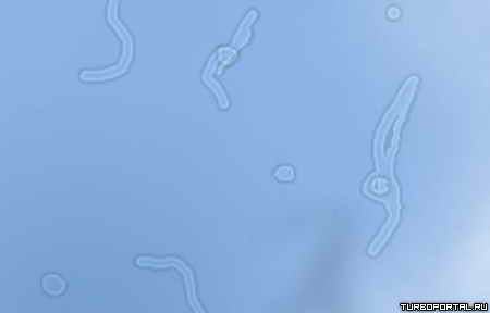 ������ �� ������ ����� �������� � ������� ���������� �����?