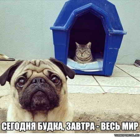 ������� �����, ������ - ���� ���!