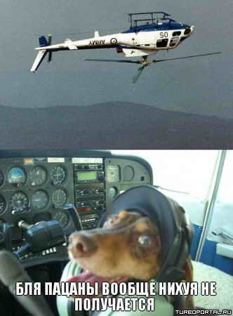 ��� ������ ������ ����� �� ����������