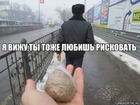 � ���� �� ���� ������ ���������