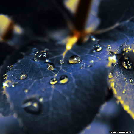 �������� ������ ����