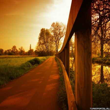 �������� ��������� ����� ����-���� (Philippe Sainte-Laudy)