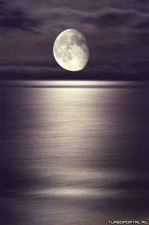 ������ ��������� ����� ������ (Tiit Motus)