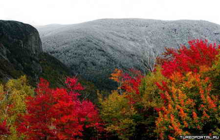 ����� � �����������