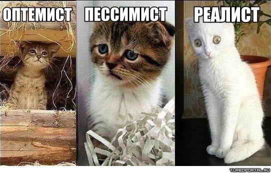 ��������, ���������, �������