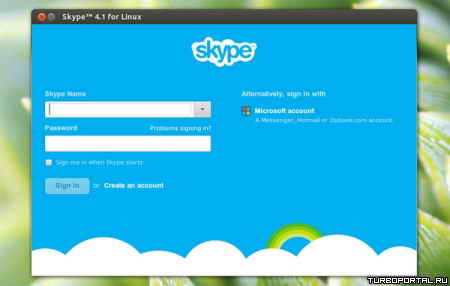 ��� ������� ������ Skype � Ubuntu