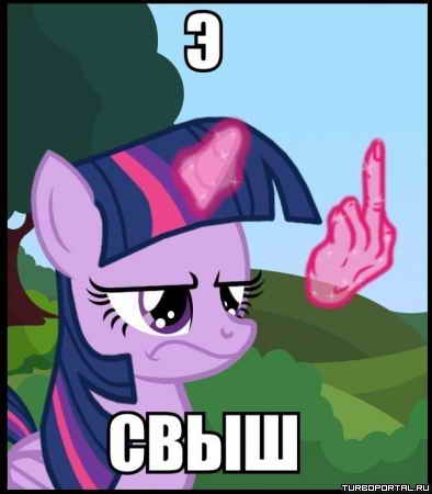 � ���� - ����