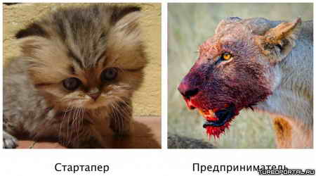 ������� ����� ����������� � ����������������