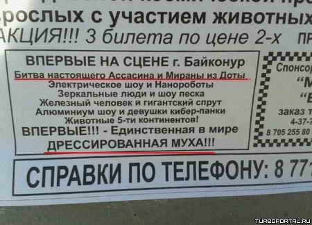 ����� ���������� ������� � ������ �� ����