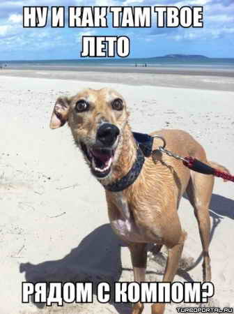 �� � ��� ��� ���� ���� ����� � ������?