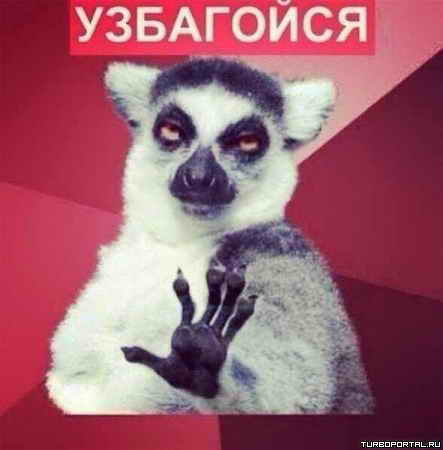 ������ ������ ����� ���������?