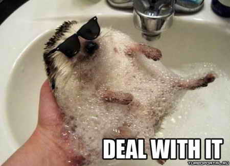 ��� ������ Deal with it?