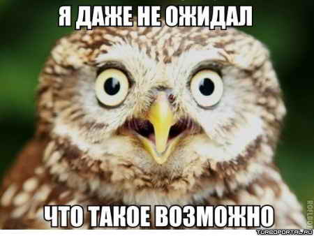 � ���� �� ������ ��� ����� ��������