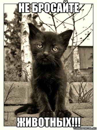 �� �������� ��������!