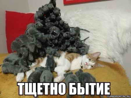 ������ ����� - �����