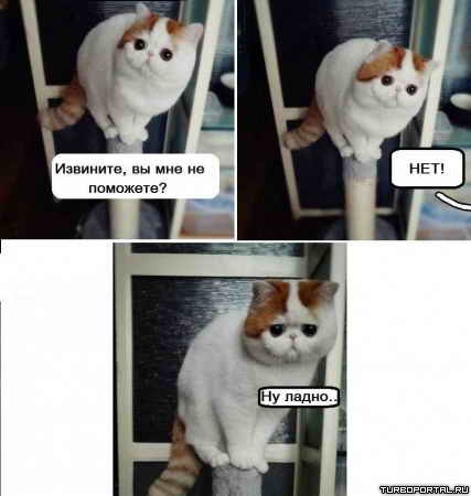 ��������, �� ��� �� ��������? ���! �� �����.