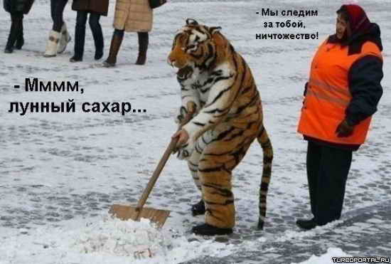 ����, ������ �����... �� ������ �� �����, �����������!