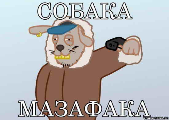 ������ ��������