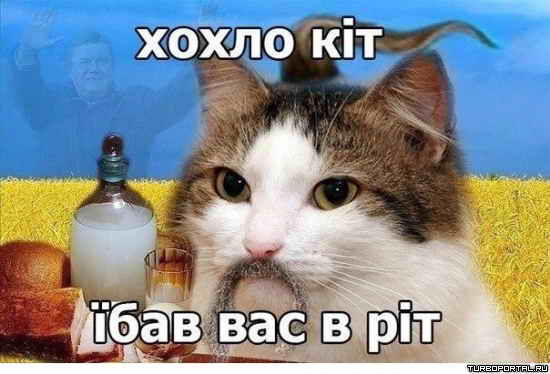 ����� �i� i��� ��� � �i� - ����� ��� ���� ��� � ���