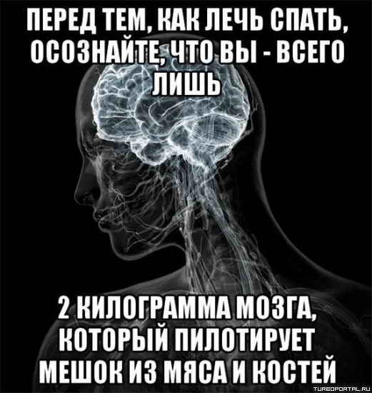 ����� ���, ��� ���� �����, ���������, ��� �� - ����� ���� 2 ���������� �����, ������� ���������� ����� �� ���� � ������