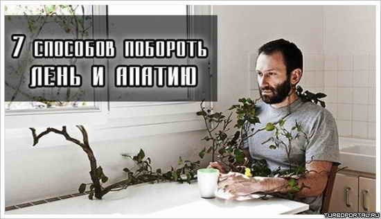 7 �������� �������� ���� � ������