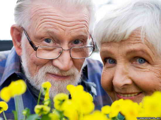 ���������� ������������ ��������