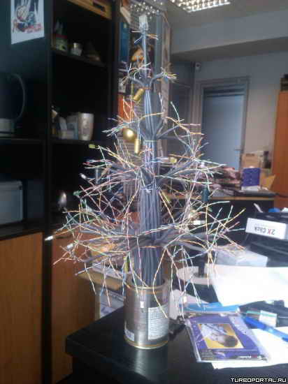 ������������ ����