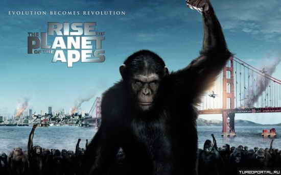 "������� ������� �������" ����� ���� �������� "������� 7"