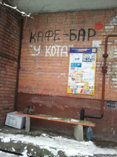 ����-��� "� ����"