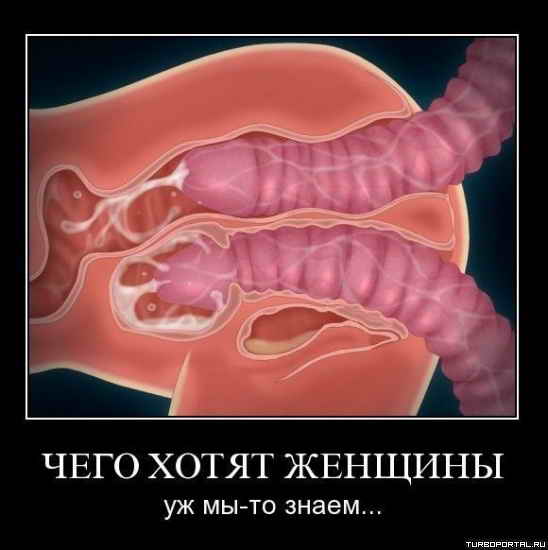 ���� ����� �������? �� �� �� �����.