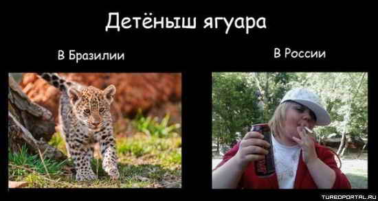 ������ ������ - � �������� � � ������