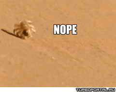 Nope - ���� ������� �� ������� - �����