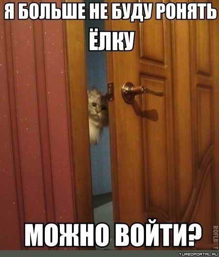 � ������ �� ���� ������ ���� - ����� �����? - ���