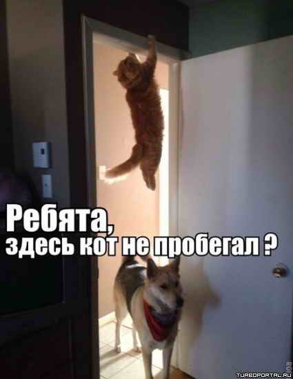 ������ ���� ���� - ������, ����� ��� �� ��������?