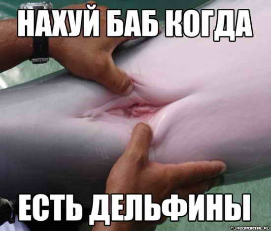 ����� ��� ����� ���� ��������