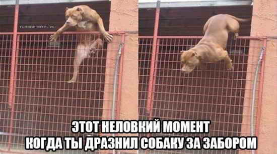 ���� �������� ������ ����� �� ������� ������ �� �������