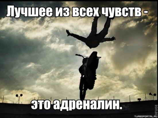 ������ �� ���� ������ - ��� ���������