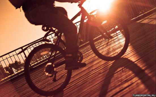 ������������ � �������� ��� ���������.