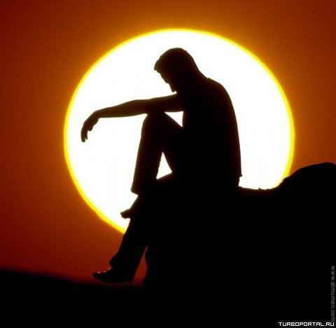 Что такое жизнь? Что такое жизнь?