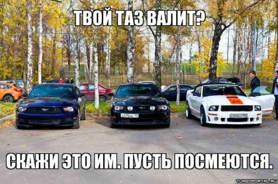 ���� ��� �����? ����� ��� ��. ����� ���������.