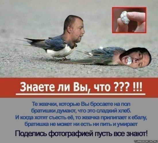 Знаете ли Вы, что ??? !!! Те жвачки, которые Вы бросаете на пол братишки думают, что это сладкий хлеб. Знаете ли Вы, что ??? !!! Те жвачки, которые Вы бросаете на пол братишки думают, что это сладкий хлеб.