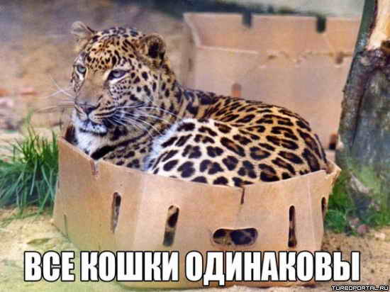 ������� ����� � ������� - ��� ����� ���������