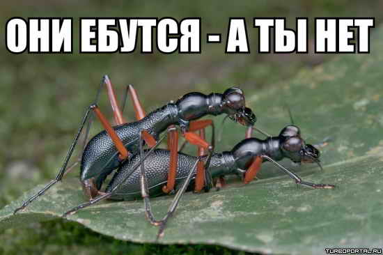 ��� ������, � �� ��� - ����